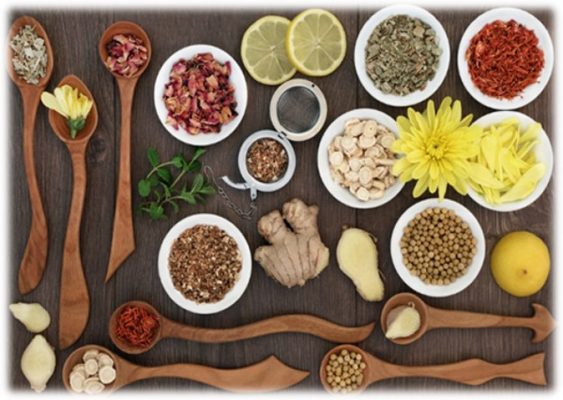 thao duoc tri lieu duong sinh 43