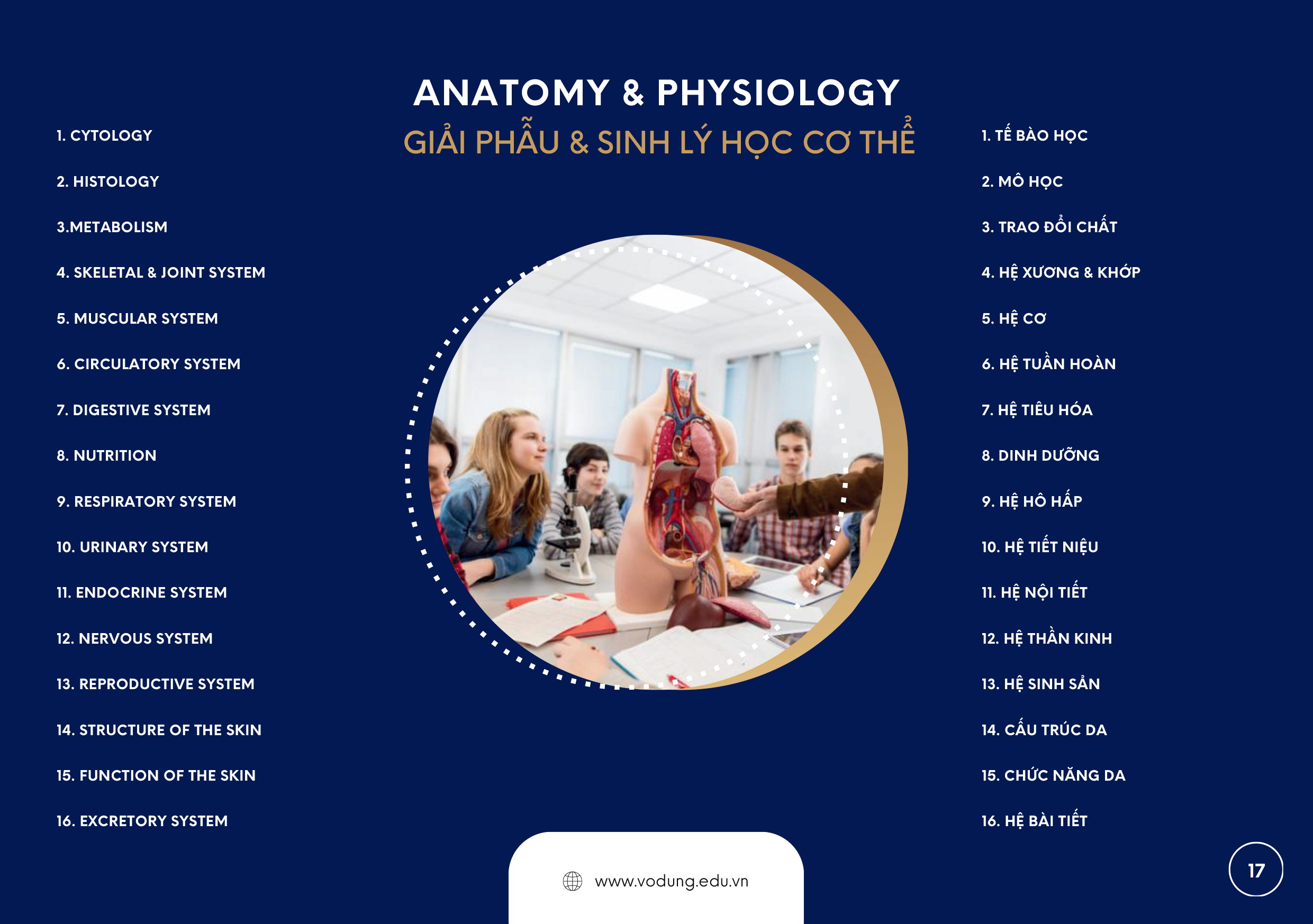 VD CoureseOverview 19