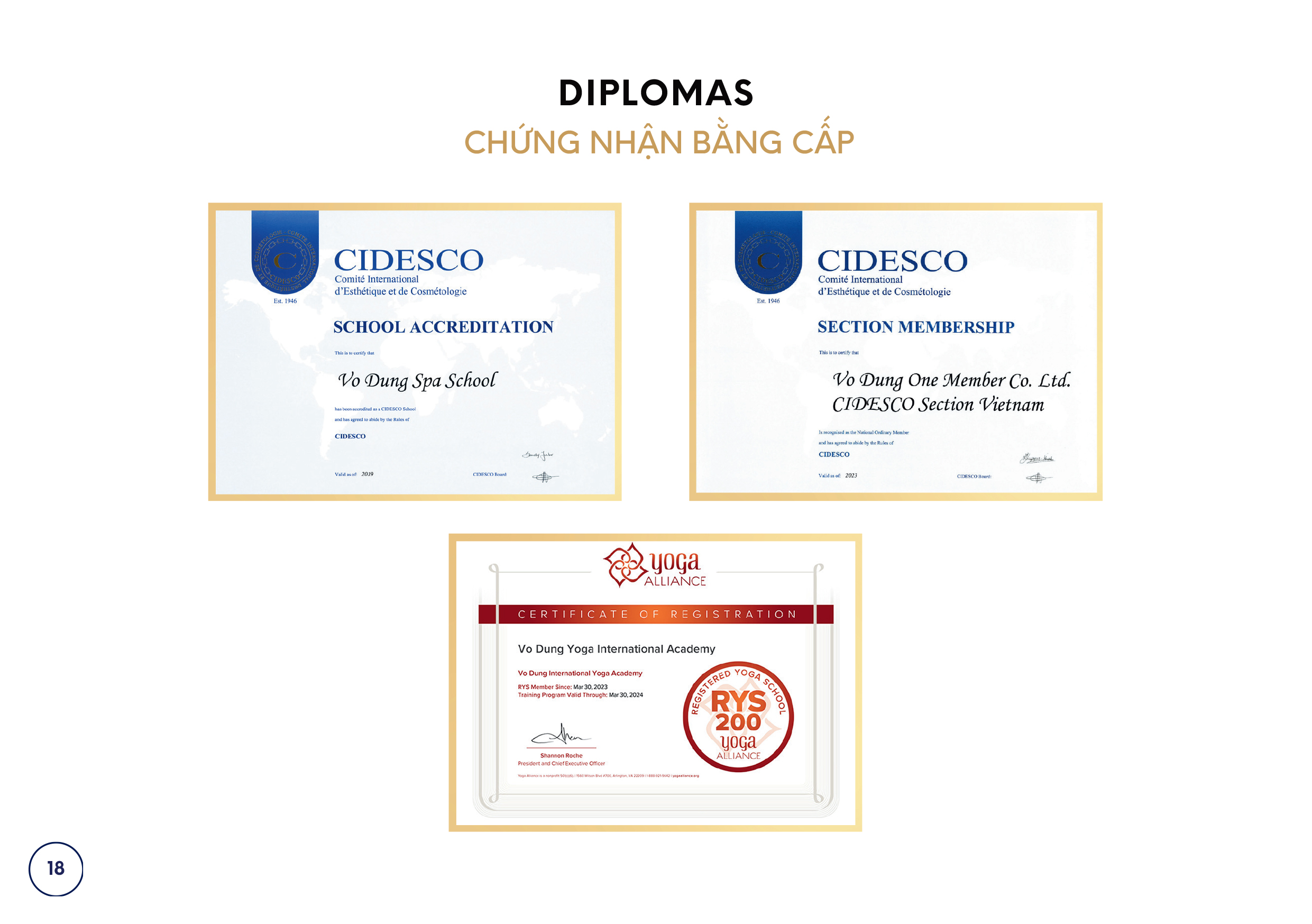 VD CoureseOverview 20