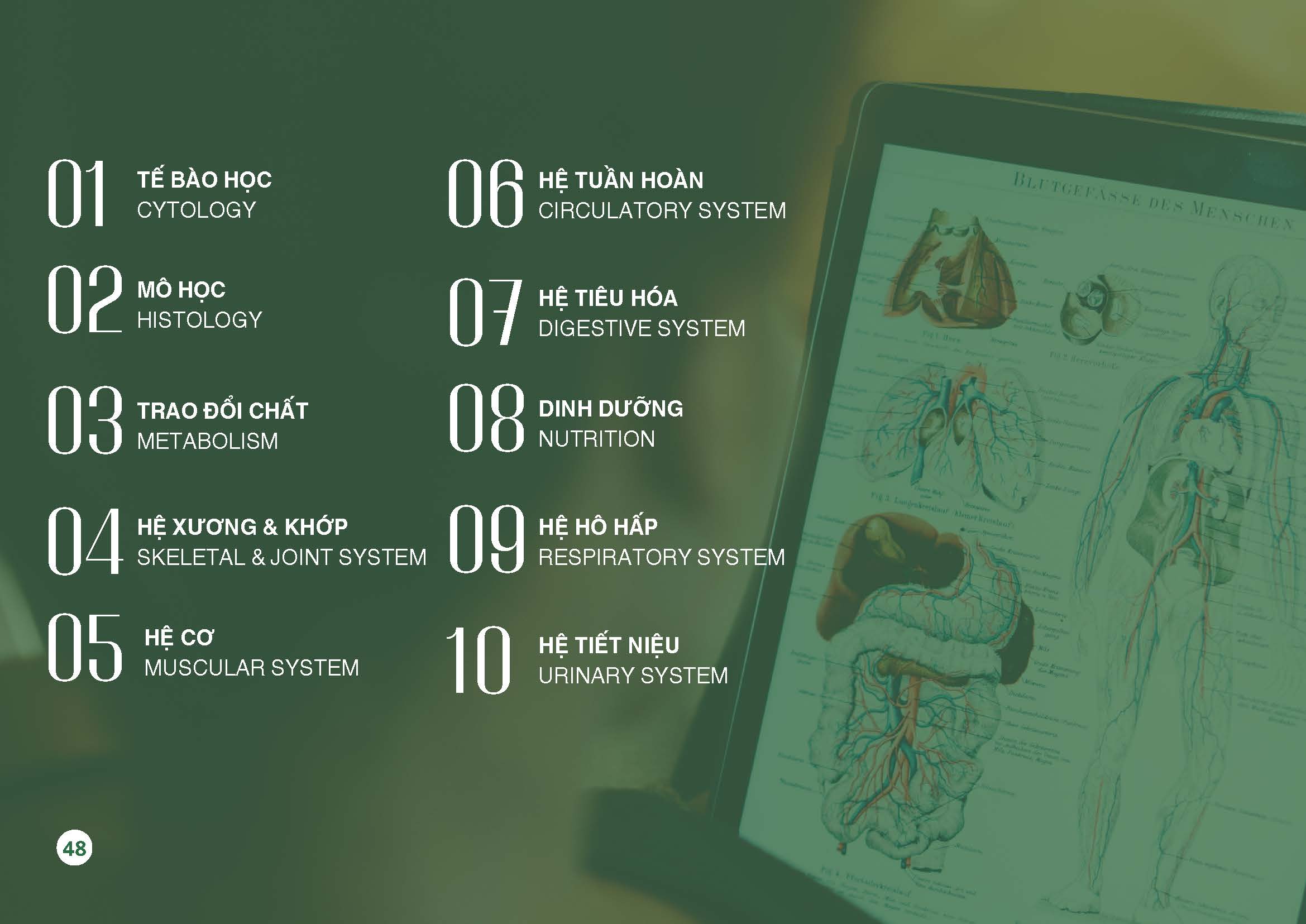 Catalog Vo Dung Final Page 50